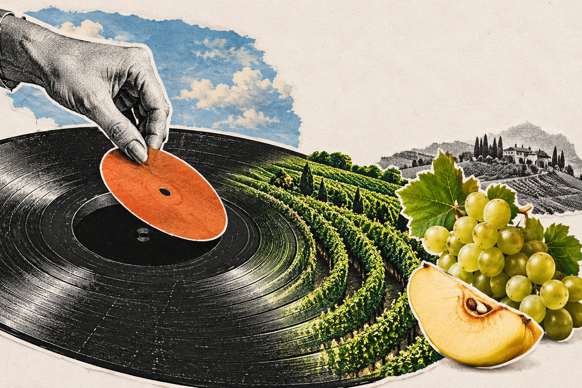 Editorial collage: a hand lifts the orange centre of a vinyl record, whose grooves become a vineyard beside white grapes and quince.