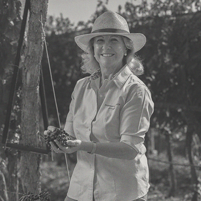 Susana Balbo - Signature Barrel Fermented Torrontés - [winest]