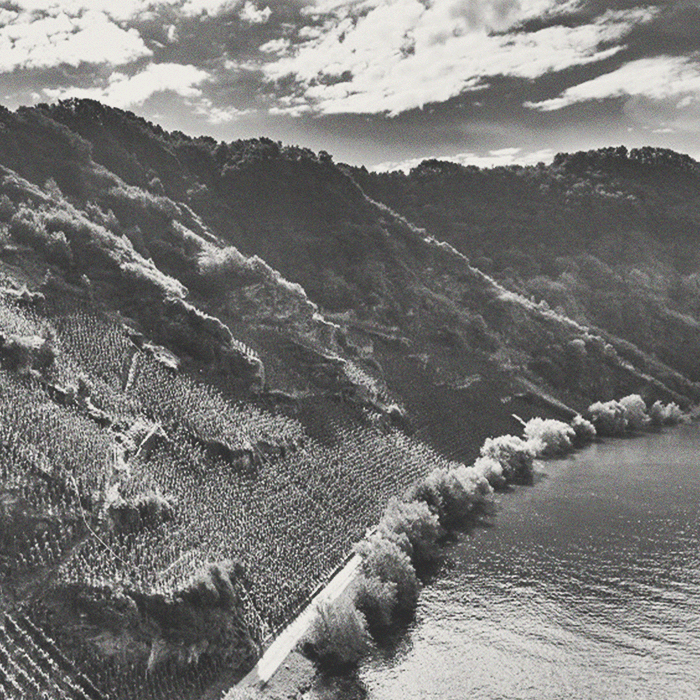 Weingut Nik Weis - Urban Riesling - [winest]