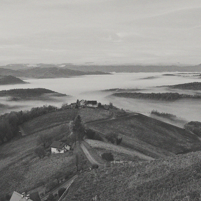 Weingut Wohlmuth - Riesling Ried Dr. Wunsch