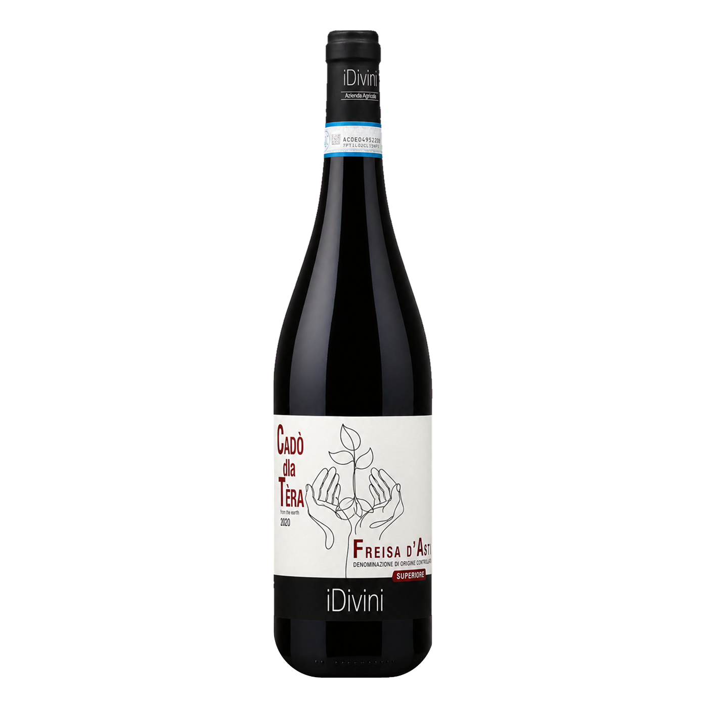 Idivini Freisa d'Asti Superiore DOC 2025 Rotwein aus Piemonte, handgelesene Freisa-Trauben auf Gips-Kalkböden | Idivini Freisa d'Asti Superiore DOC 2025 red wine from Piedmont, hand-harvested Freisa grapes on gypsum-chalk soils