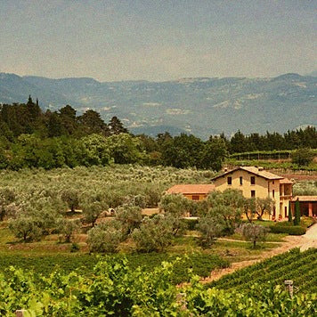 Merlot Cuvée · Venetien