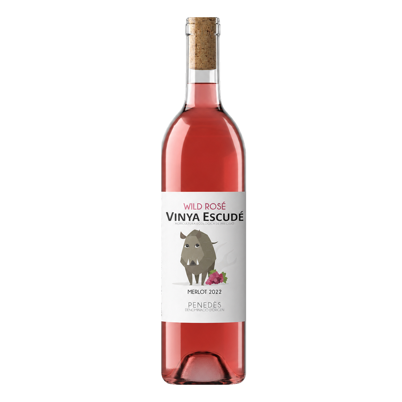 Vinya Escudé Wild Rosé Merlot 2025, Bio-Roséwein aus Penedès, handgelesen, Edelstahl-Vergärung | Vinya Escudé Wild Rosé Merlot 2025, organic rosé wine from Penedès, hand-harvested, stainless steel fermentation