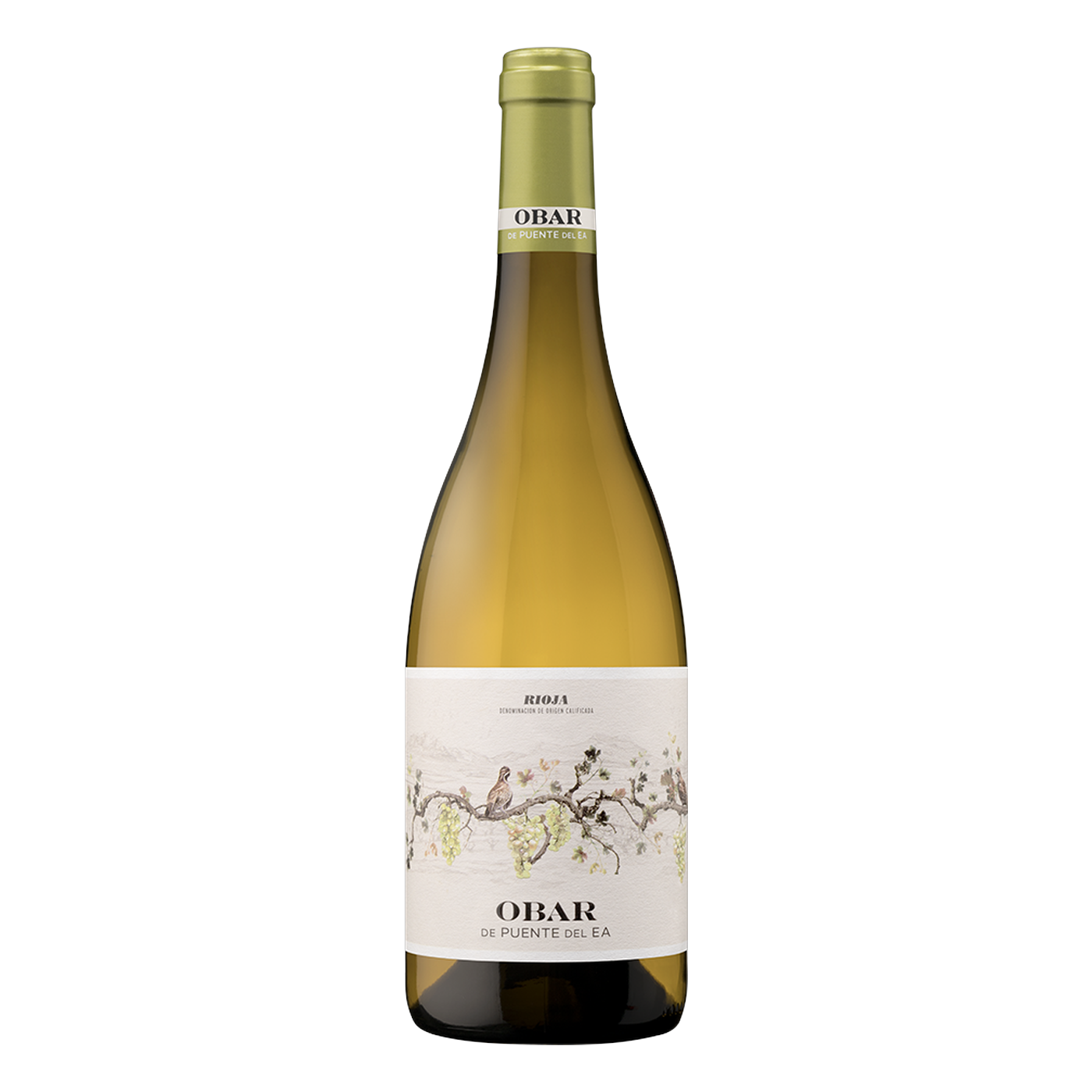 Puente del EA Obar Viura Flasche – fassgereifter Weißwein aus Rioja Alta, Kalksteinlagen 520 m, Jahrgang 2025 | Puente del EA Obar Viura bottle – barrel-aged white wine from Rioja Alta, limestone soils 520 m, vintage 2025