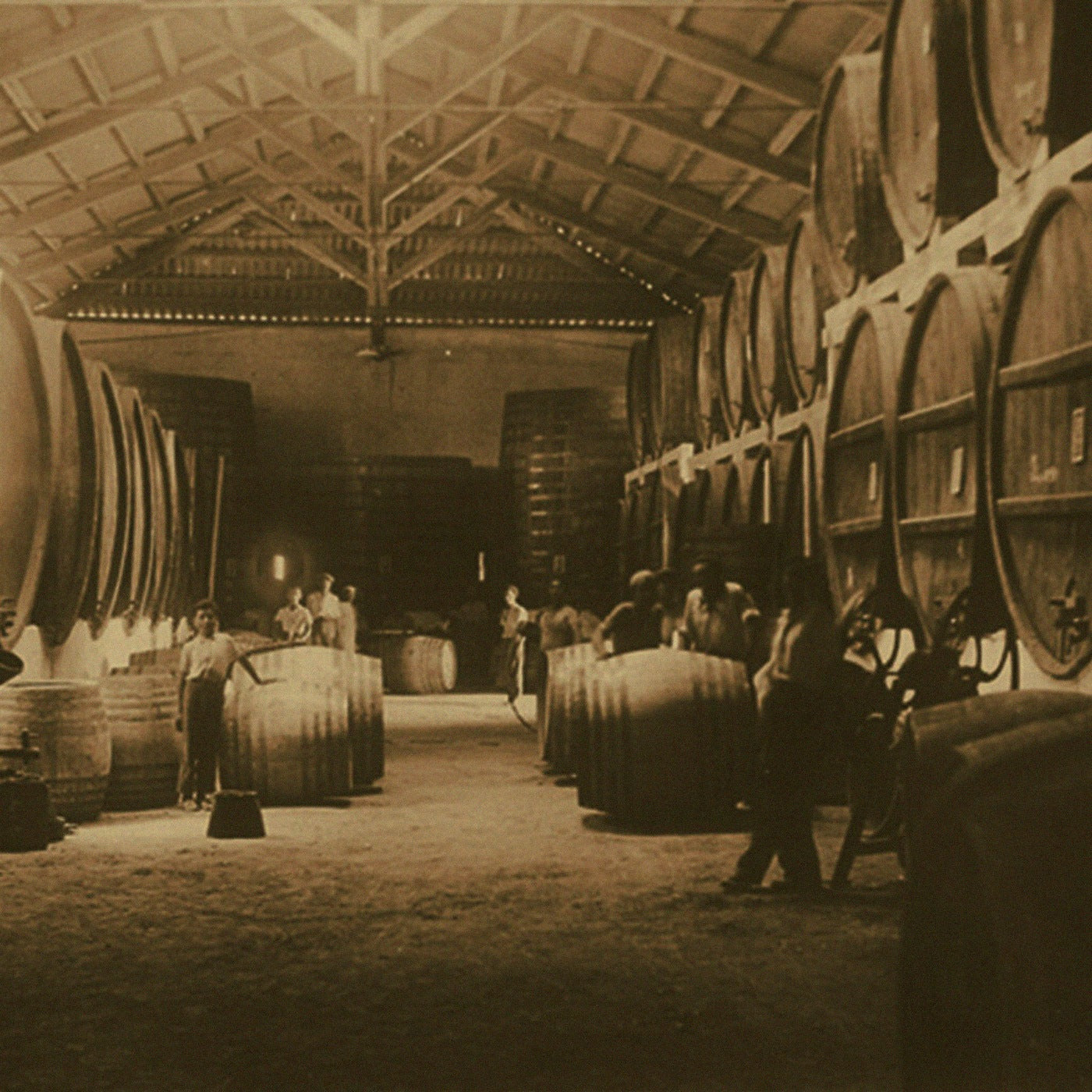 Red Blend Oak-Aged · Terre Siciliane