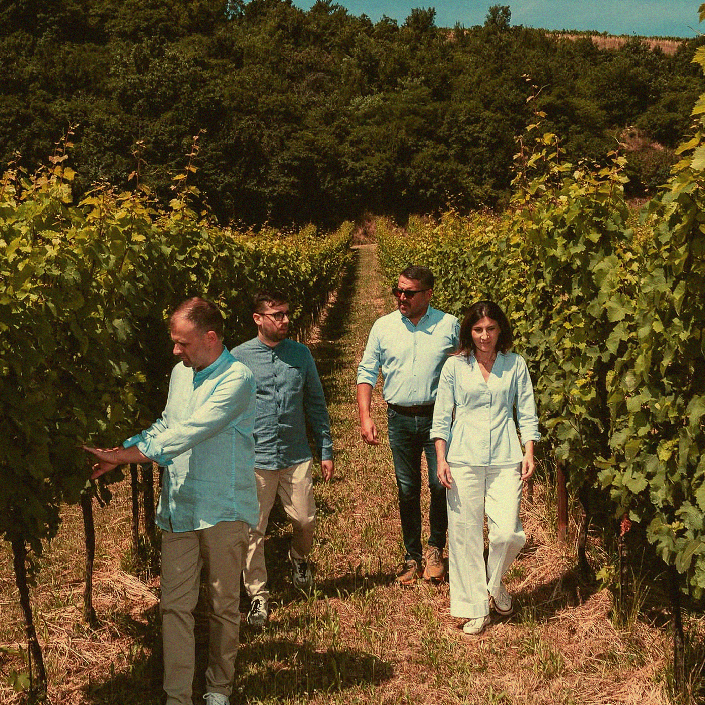 Merlot Cuvée · Venetien