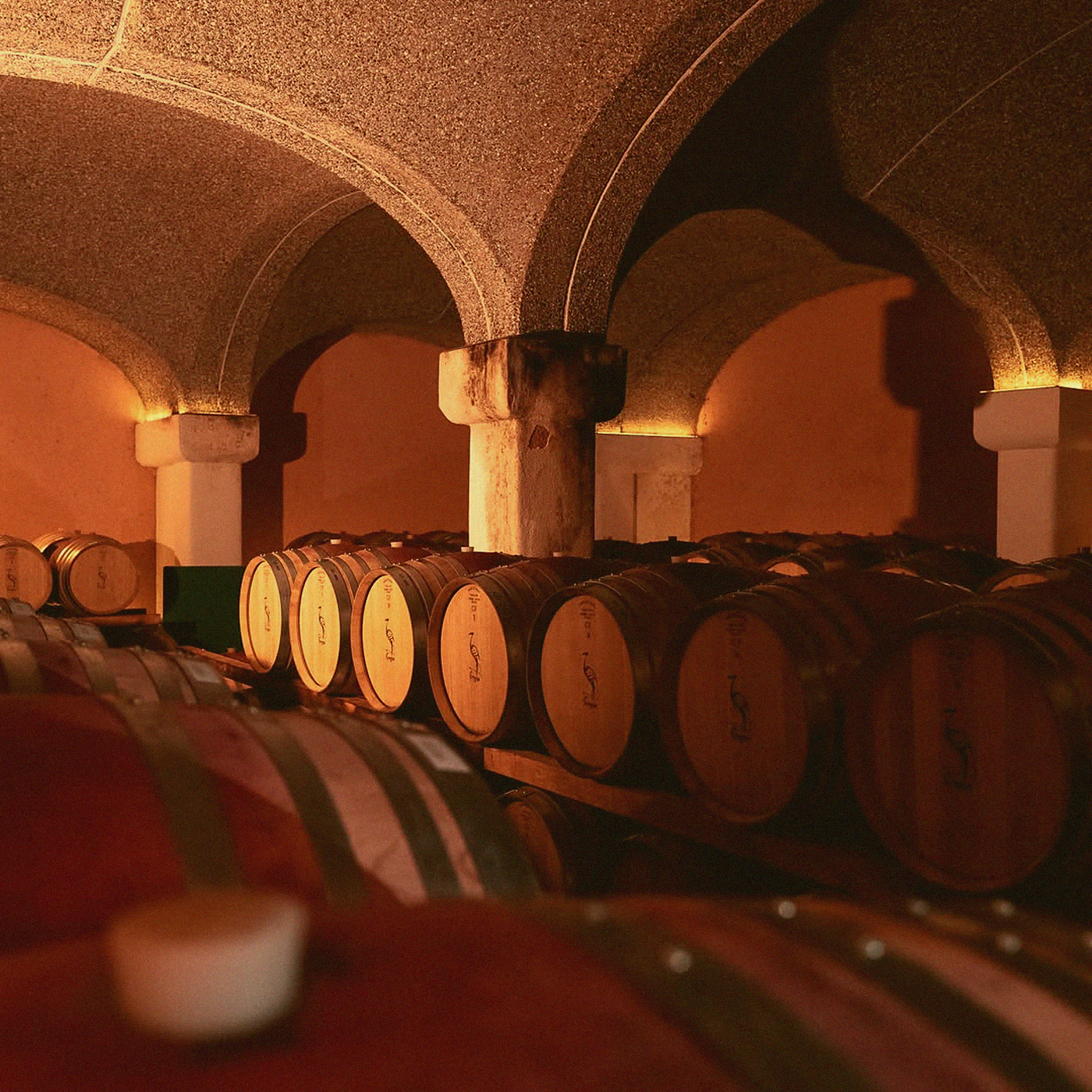 Merlot Cuvée · Venetien