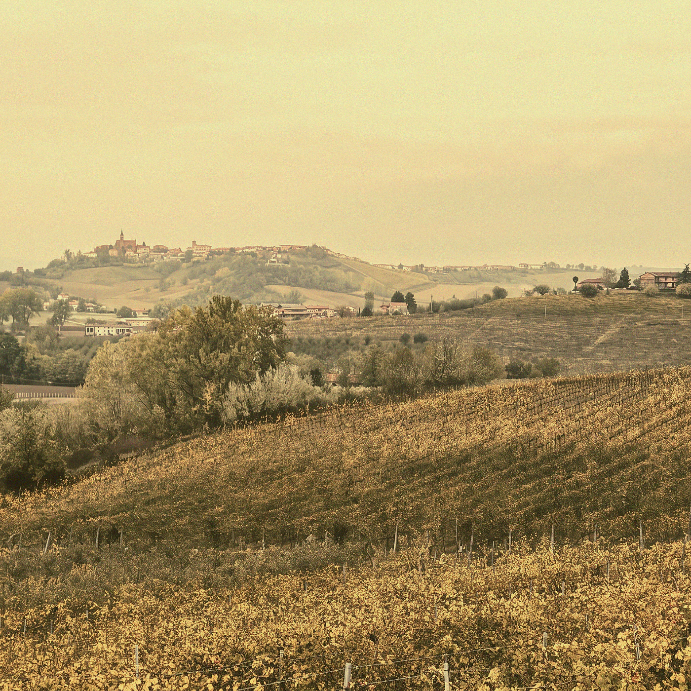 Barbera Edelstahl · Asti