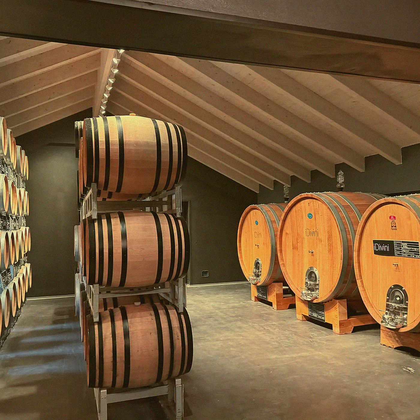 Barbera Edelstahl · Asti