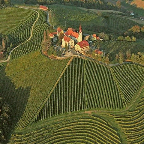 Chardonnay Skin Contact · Haloze