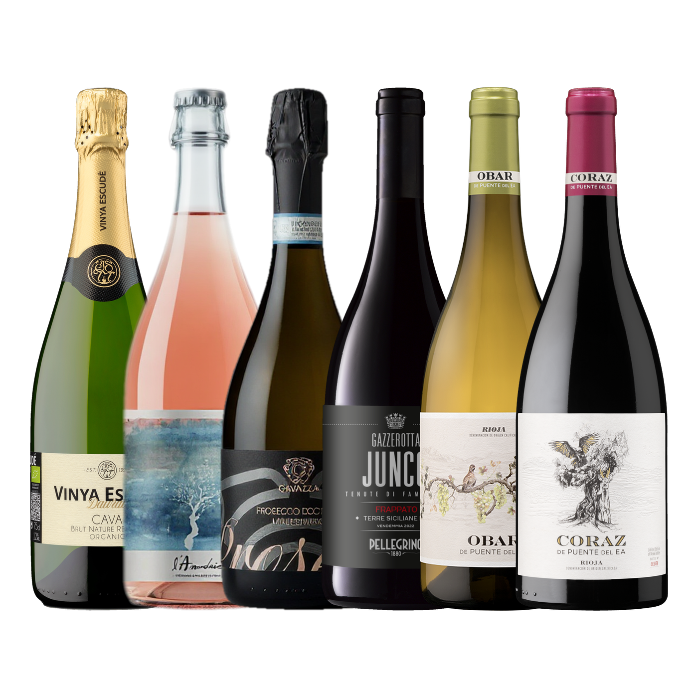 Six wine bottles in a row, including Cava, rosé, Prosecco, Junco, Ohara and Coraz.