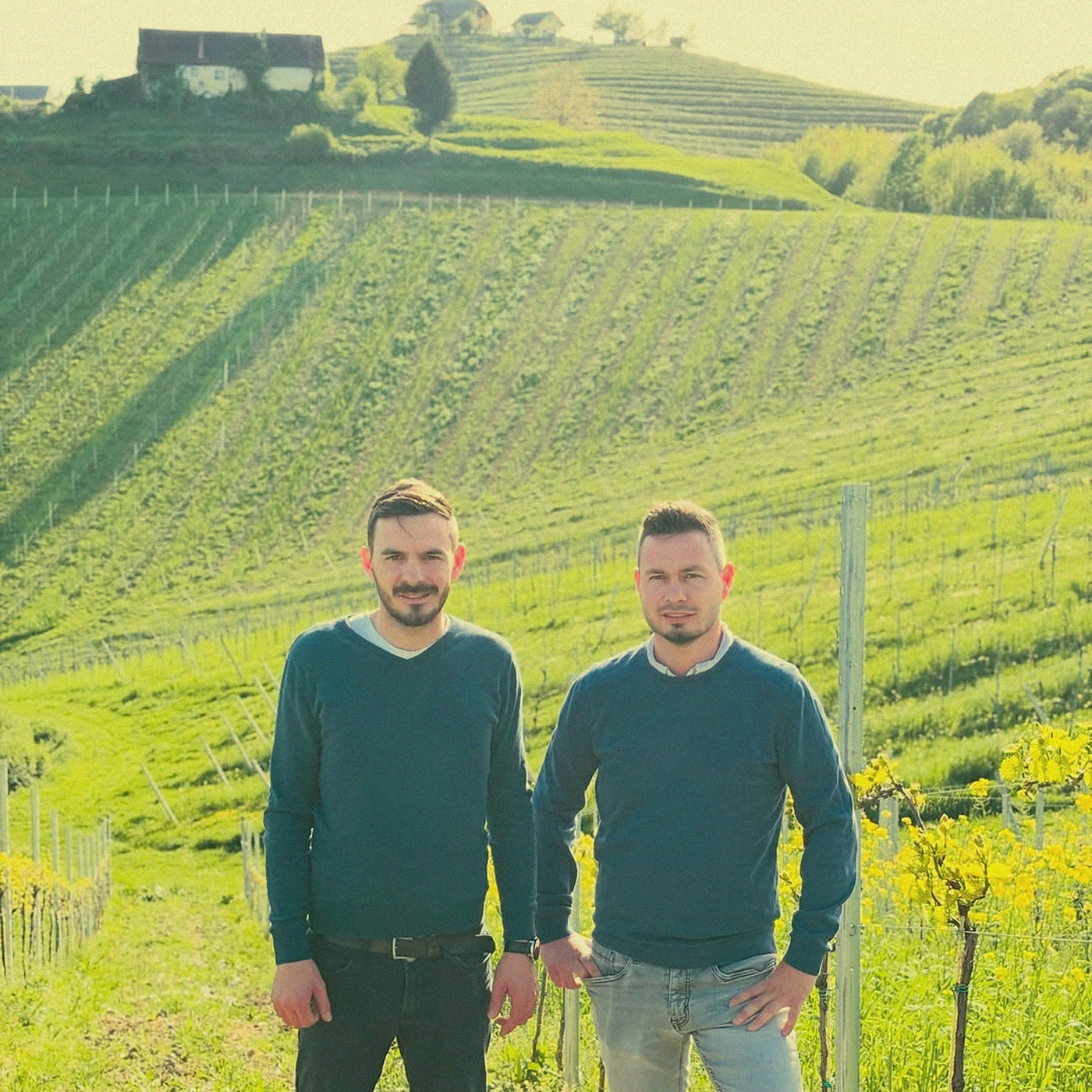 Chardonnay Skin Contact · Haloze
