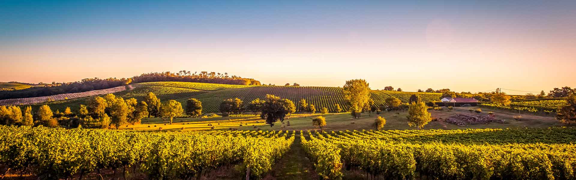 Vignerons Propriétés Associés