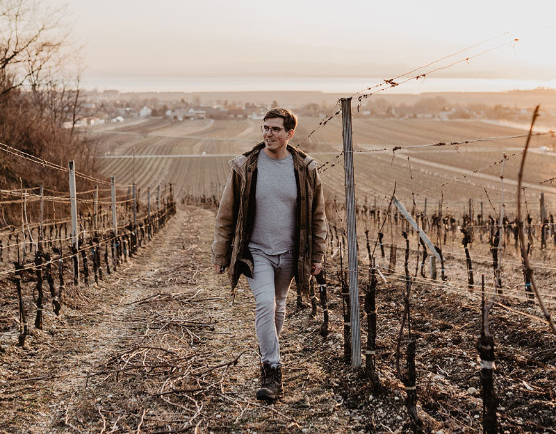 Andreas in winter vines