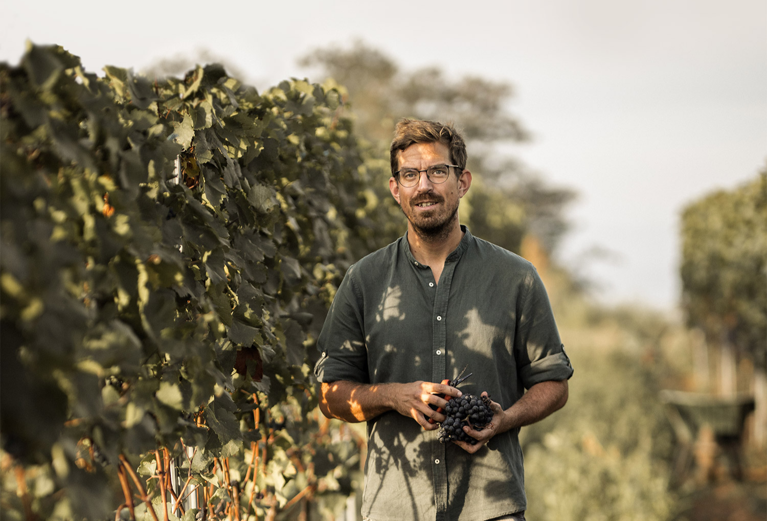 Andreas Gsellmann among the vines