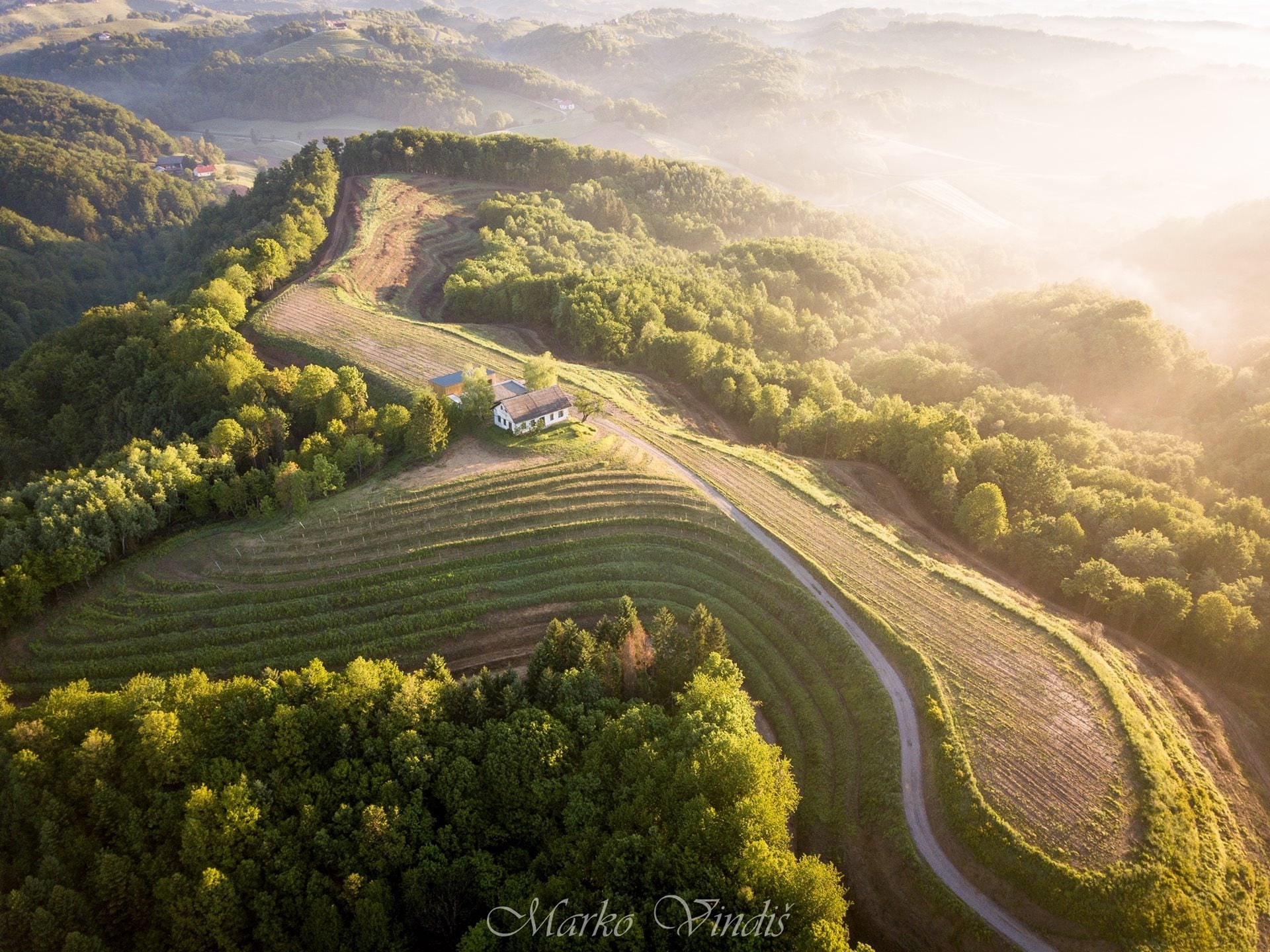 Kobal-Weingut